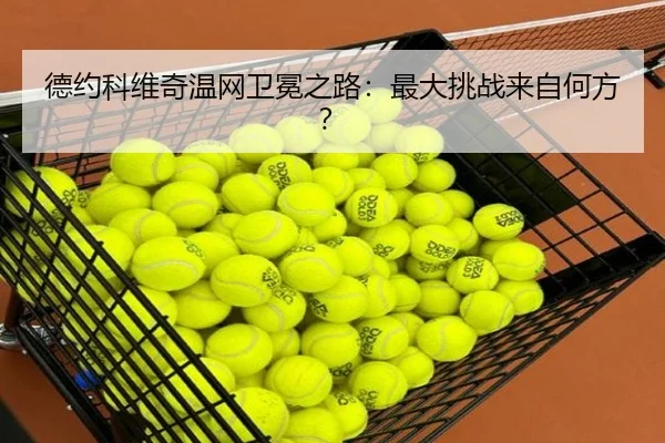 de-yue-ke-wei-qi-wen-wang-wei-mian-zhi-lu-zui-da-tiao-zhan-lai-zi-he-fang-2-798.jpg